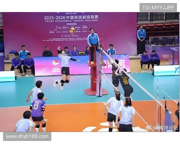 新浪体育女排联赛（新浪体育女排联赛直播在线观看）sports